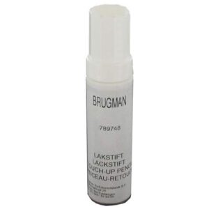 Brugman lakstift RAL9016